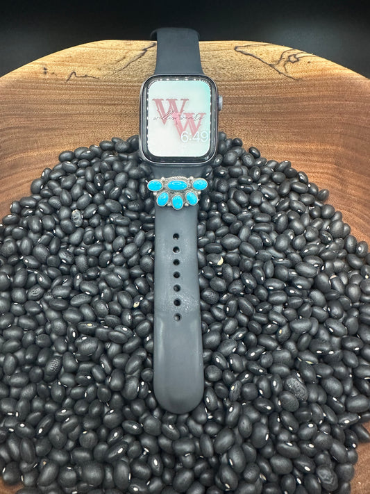 Apple Watch Band Slides